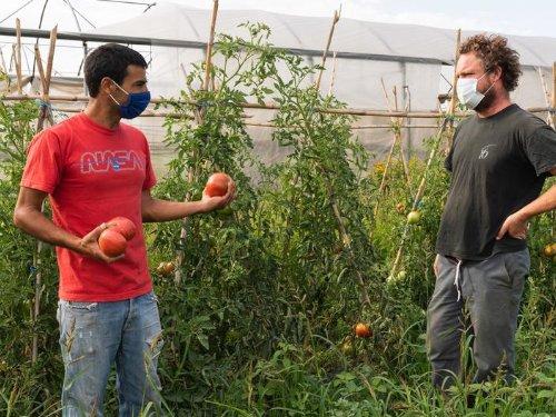 L’Hort de l’Eriçó es uno de los proyectos que forman parte de AlterBanc. David Aguinaga